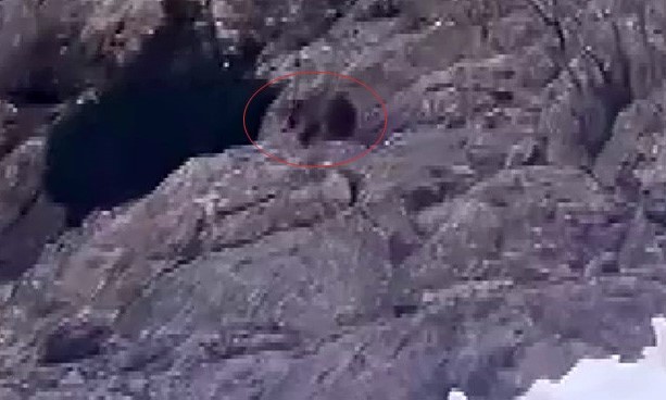 Kış Uykusundan Uyandı, Kar Üstünde Yiyecek Aradı