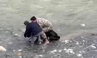 Siirt’te Dereye Düşen Buzağı Polis Tarafından Kurtarıldı